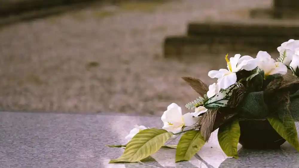 White flowers